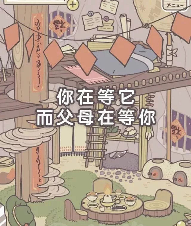 养蛙二三事，从不一样的角度感受爸妈的爱