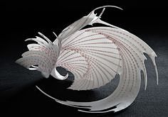 2006 - 45cm