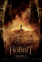 霍比特人2：史矛革荒漠 (The Hobbit: The Desolation of Smaug) 海报#72393