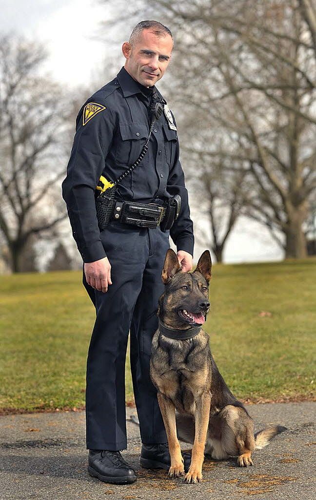 警犬种类图片图片