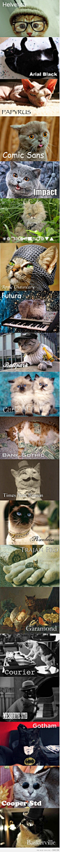 Cats as Fonts - Cayla