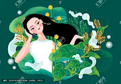 何首乌洗发水护发素洗护插画