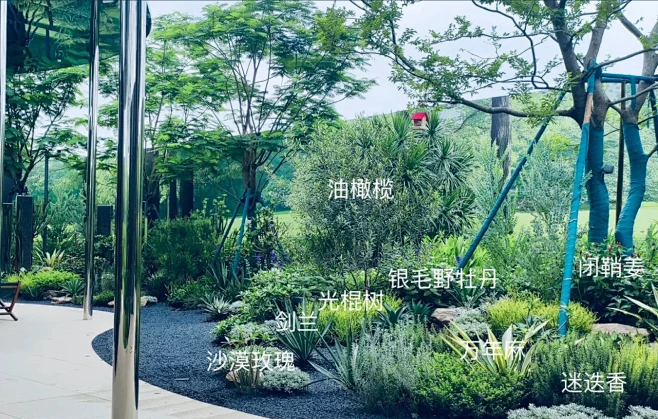 植物配置实景 (171)-花瓣网