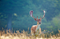 Photograph breakfast by Mark Bridger on 500px