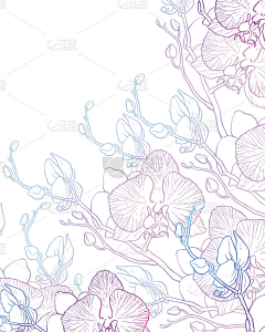 xxyds88采集到X-花纹边框素描线条剪影