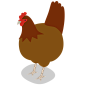 hen-01-512.png (512×512)
