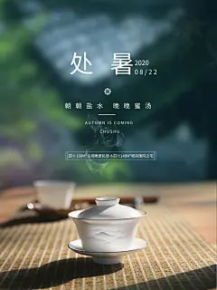 暑期传统节气处暑海报