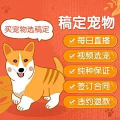 手绘宠物直播直通车主图