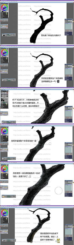 中间中采集到植物