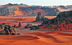 偏执狂馒头采集到场景