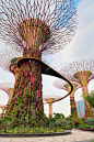 斯格威的海湾，新加坡在花园步行路径桥与垂直花园作为人工超级树树林