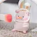 懒猪——蛋蛋