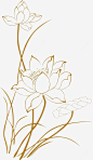 简笔画荷花免抠png素材_新图网ixintu.com