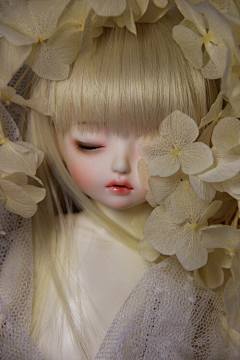 闵猫猫采集到bjd

