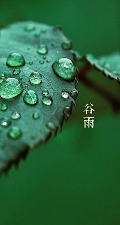 mayla~曼采集到二十四节气