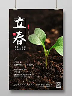 黑色简约土地树苗二十四节气立春节气宣传海报