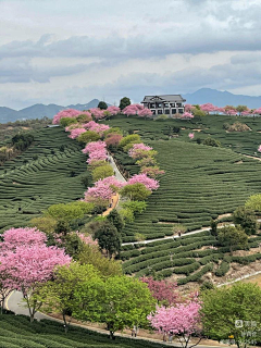 过去/现在/未来采集到景观-文旅