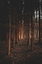(1) Tumblr