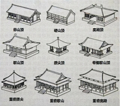daywangyi采集到插画