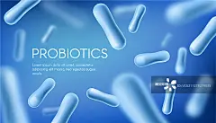 益生菌乳酸菌健康消化海报图片素材