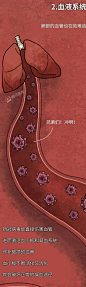 新冠感染者的描述：病虽然恢复了，“后遗症”却在困扰着我