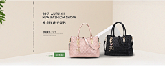 旺财Jessy采集到ins风树叶