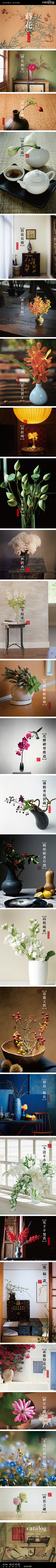 哦·采集到排版