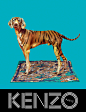 日本品牌KENZO创意视觉广告设计