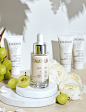 CAUDALIE 3.8 Tmall bananer : CAUDALIE 3.8 Tmall