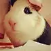 飞行员-M