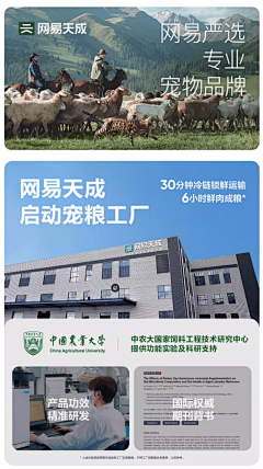 一头小毛采集到详情