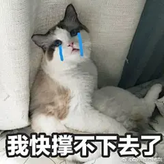 猫咪 表情包 @美工南伏凉 采集
#侵删致歉#