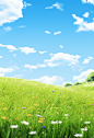 grassy field background photo hd high definition pictures, in the style of whimsical anime, realistic and hyper-detailed renderings, pastoral charm, 32k uhd, flower and nature motifs, realistic rendering, clean and simple designs