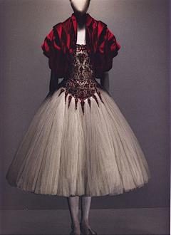 two精采集到Alexander McQueen 