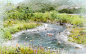 Hoosic River Flood Chute Naturalization – Sasaki