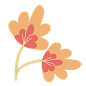 优雅的花朵PNG免抠图