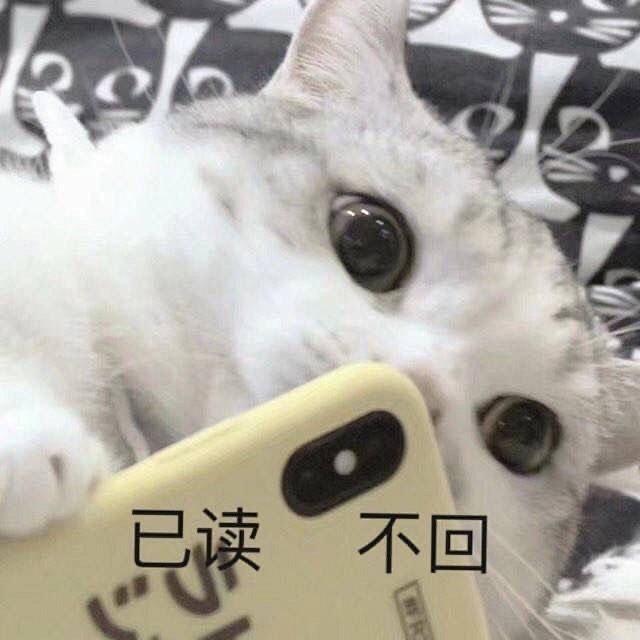 快来保存新的表情包了​​​