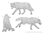 狼/狗的画法