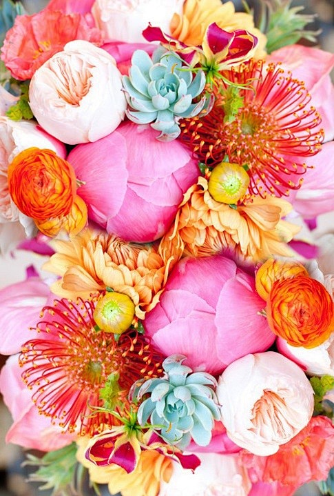 The colors! | Fleurs