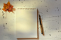 Empty notebook and pen, top view by Violeta Chalakova on 500px