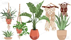 式样,温室,短语,仙人掌,模板,现代,装饰物,植物,绘制,花