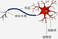 虹尘采集到微观世界