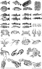 海底生物