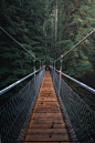 #桥#风景#森林#吊桥#铁索桥#绿色