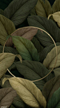 e4db586cb599d14e347b589b095a5620.jpg (1080×1920)