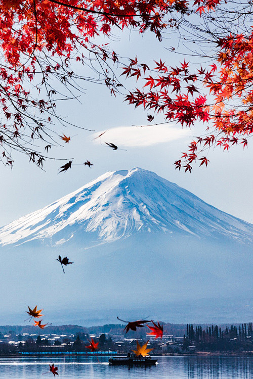  富士山