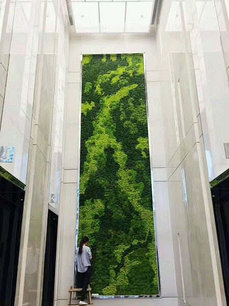 发几张北京地区做的垂直绿化植物墙案例_看...