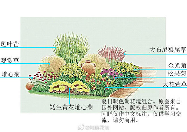 最近真的有点忙，没空做花境示例了#花境#...