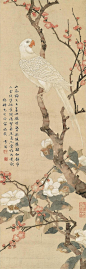 34
天工净雅：国画大师陈之佛工笔花鸟画精选【二】