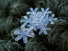 墨染江绸画采集到雪